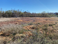 Wetlands and riparian area along Kit Carson Creek near Mule Hill Trail
