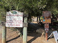 Trailhead at Old Coach Staging Area and a tree nurery sign.