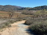 Winding dirt path of the Mule Hill Trail next to agricultural fields on one side, wetlands on the other.