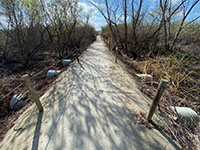Trail crossing San Dieguito River wetlands on an elevated causeway.