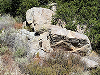 Granite boulders displaying dark inclusions along the Old Coach Trail near the pass.