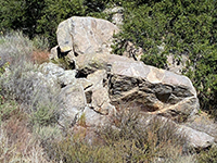 granitic boulders with dark inclusions and light colored applite dikes along the Old Coach Trail divide area.