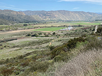View looking east from the Bandy Canyon Road pull off showing the Raptor Ridg Trail winding off into the distance to the east.