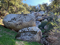 Large granite boulders on the slope along the Raptor Ridge Trail.