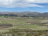 View looking north from the Bandy Canyon Road pull off showing the Raptor Ridge Trail at the base of the slope with agricultural fields beyond.