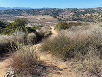View along the Raptor Ridge Trail between two viewpoints (overlooks).
