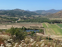 Infiltration pond  along San Dieguito River in San Pasqual Valley.