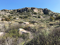 Spoe below granitic outcrops on Raptor Ridge with large boulders amongst the colluvium and ground cover.
