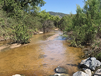 Clear-water flow from groundwater discharge into Santa Maria Creek after flood of 2019