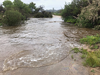 Peak flow of an flood on Santa Maria Creek, early April, 2019