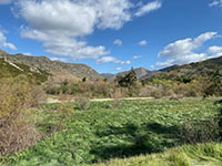 View looking north from the trail across the creek and Highway 78 toward the mouth of Rockwood Canyon along Geujito Creek.