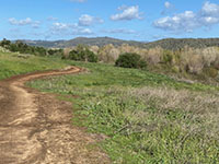 View looking along the Raptor Ridge Trail toward the riparian habitat along Santa Maria Creek.