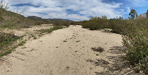 View of the sandy dry riverbed of Santa Ysabel Creek upstream of Ysabel Creek Road in the San Pasqual Valley.
