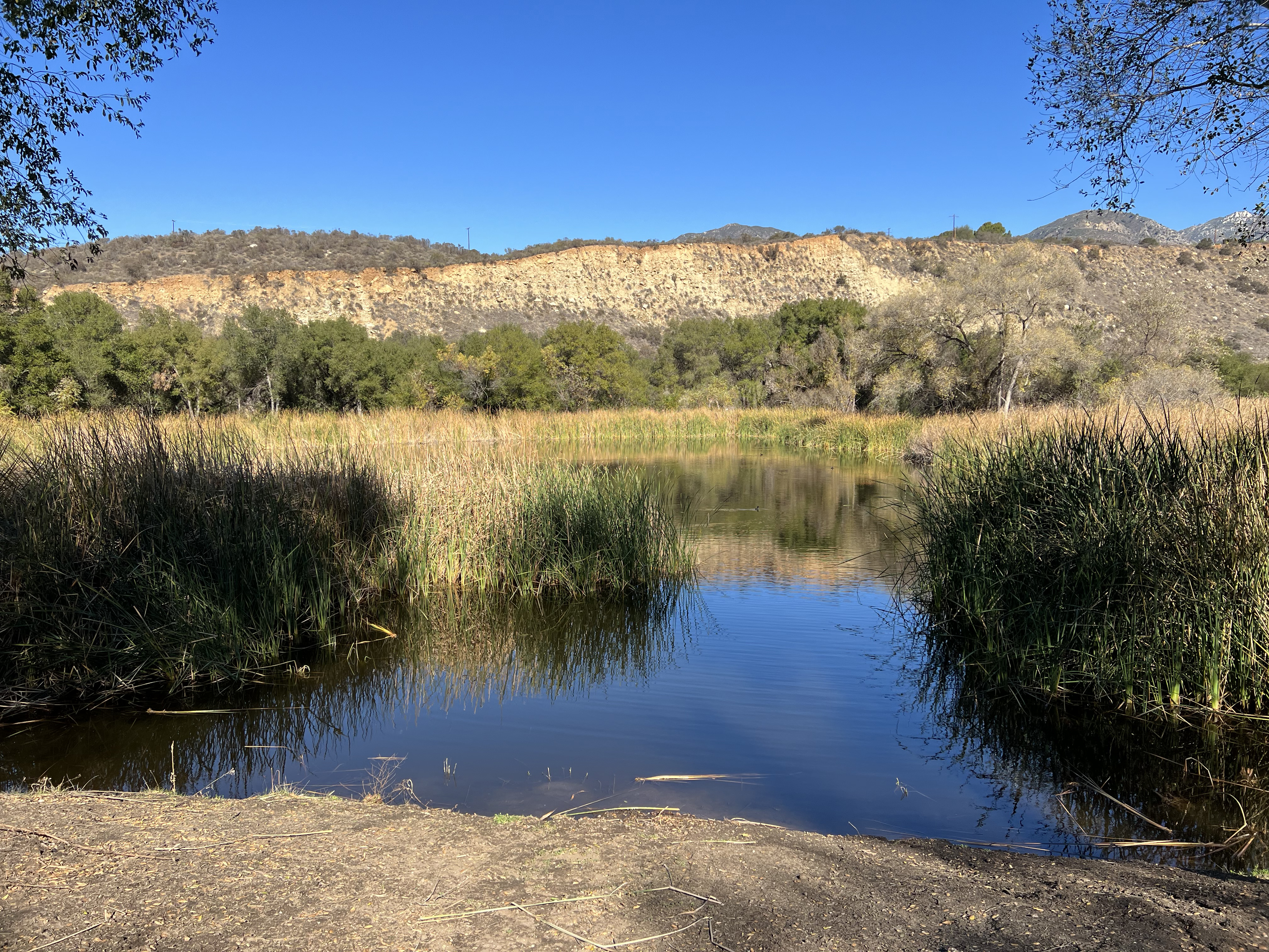 Wilderness Gardens Preserve