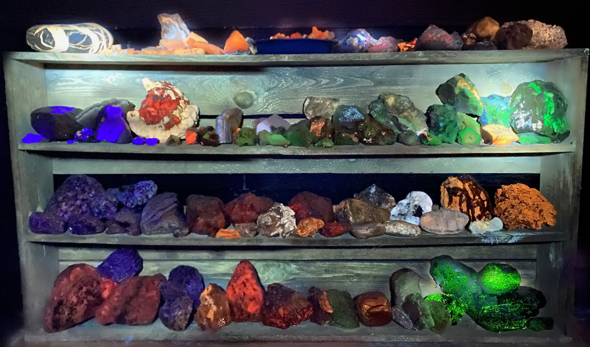 4 shelves of rock and  minerals samples under 4 bands of  ultraviolet  lighting combined