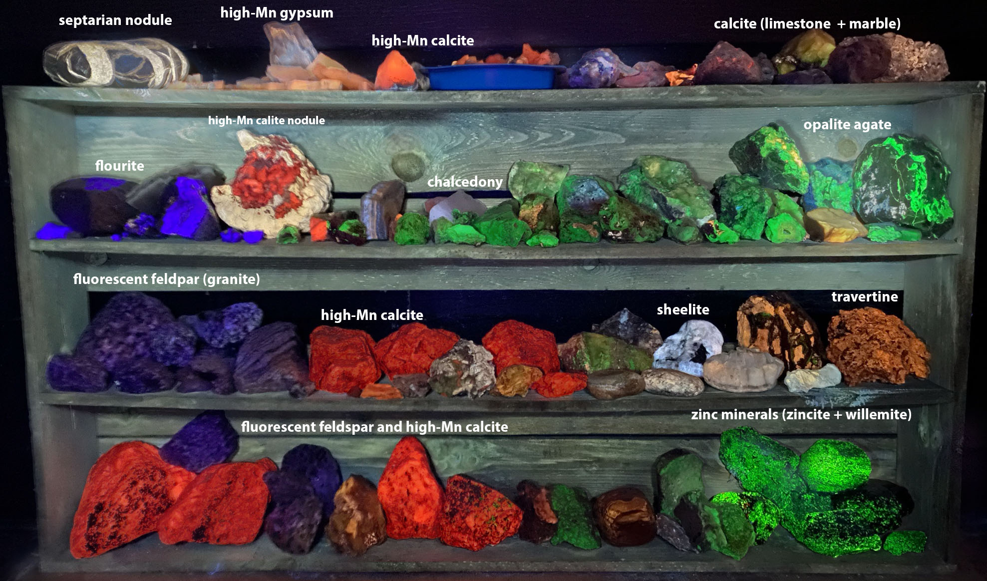 4 shelves of rock and  minerals samples under ultraviolet lighting with name labels of selected samples shown.
