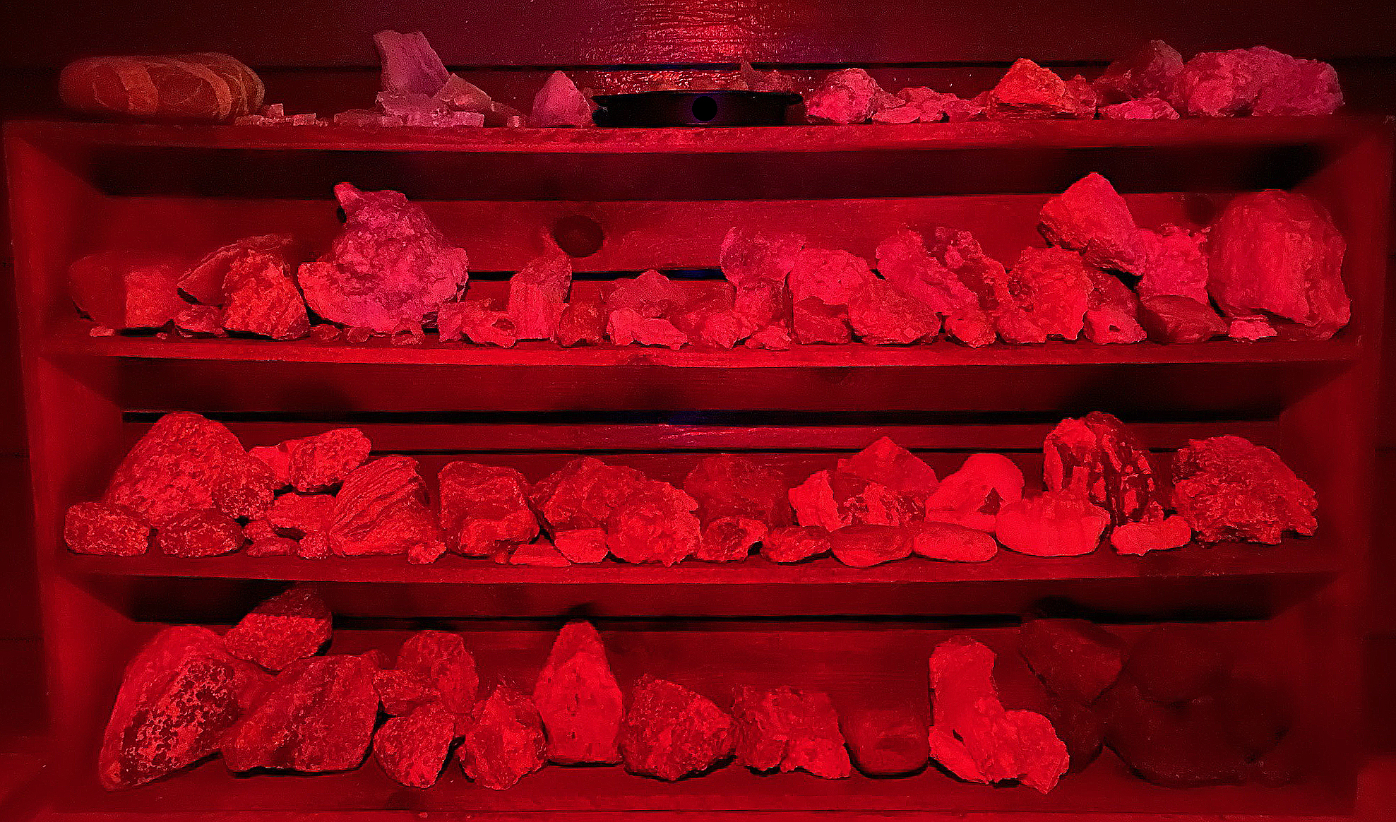 4 shelves of rock and  minerals samples under red light.