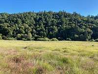 Meadow along the Upper Doane Valley Trail,