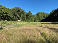 Meadow in Doane Valley along the Upper Doane Valley Trail