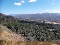 View looking east along the Elsinore Fault Valley from overlook on South Grade Road.