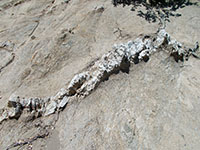 Pegmatite dike in granite along a Palomar Mountain road cut.