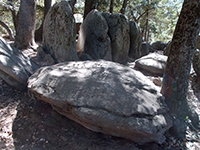 Fractures define the shape of boulders in the campground area.
