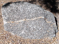 Metagranite (gneiss with an aplite dike).