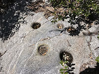 Indian mortero holes in granite gneiss.