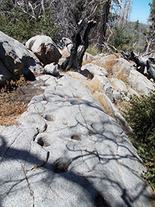Indian-carved morteros in granite at the Silvercrest Picnic Area. 