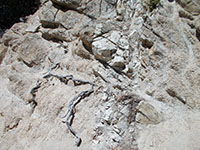 Close-up view of pegmatite dike (or rhyolite dike) in granite.
