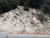 Pegmatite vein in fractured granite in road cut.