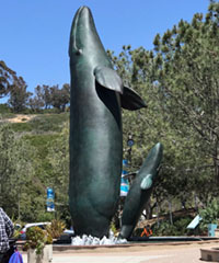 Whale statue in front of Birch Aquarium