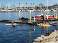 Sea lions on a dock with kayaks in Oceanside Harborn.