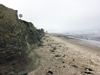 View looking south along San Elijo Beach in the fog.