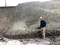 View of man standing next to sea cliff showing sedimentary structures.
