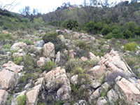 Granite "rock garden" next to Escondido Creek along the lower Del Dios Gorge Trail downstream of the dam.