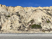 Massive eroding slopes and seacliffs composed of the Ardath Shale are exposed along Blacks Beach at the south end of Torrey Pines State Nature Reserve.