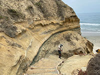 Contact between the Torrey Sandstone and the overlying Bay Point Formation on the Nestor Terrace along the Beach Trail.