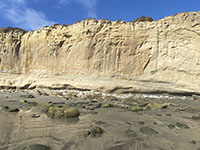 The Delmar Formation transitions upward into the massive sandstone bodies of the Torrey Sandstone exposed here at the north end of Blacks Beach.