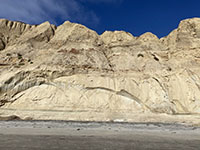 Massive beds of Torrey Sandstone are overlain by softer mudrocks of the overlying Ardath Shale exposed in the sea cliff at the north end of Blacks Beach.
