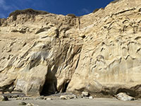 Fractures in the Torrey Sandstone are submect to selective seacliff wave erosion on Blacks Beach.