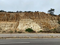 The Carmel Fault Zone exposed along the Torrey Pines Grade.