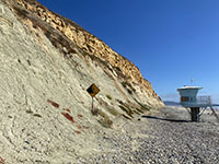 Greenish sandy-shale beds exposted near the end of the seacliff at Lifeguard Station #1 on Torrey Pines State Beach.