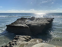 Flat Rock is both a wave-cut bench and a sea stack (when it is seperated from the shoreline).