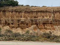 Gravel and sand beds in the Lindavista Formation exposed along Torrey Pines Road (Old Coast Highway)