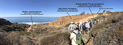 Panoramic view of the Bay Point Formation on the Guy Flemming Marine Terrace carved onto the Torrey Sandstone and Lindavista Formation.