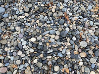 Wave-polished beach pebbles and cobbles on Torrey Pines Beach