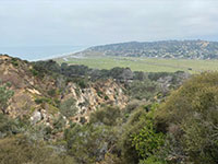 View of Peñasquitos Lagoon from along the Torrey Pines Road grade (looking north).