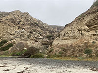 Sripps Formation type area in a canyon along Blacks Beach about 1 km north of Scripps Pier.