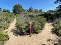 Interstion of the Margaret Fleming Trail and the Mar Scenic Trail.